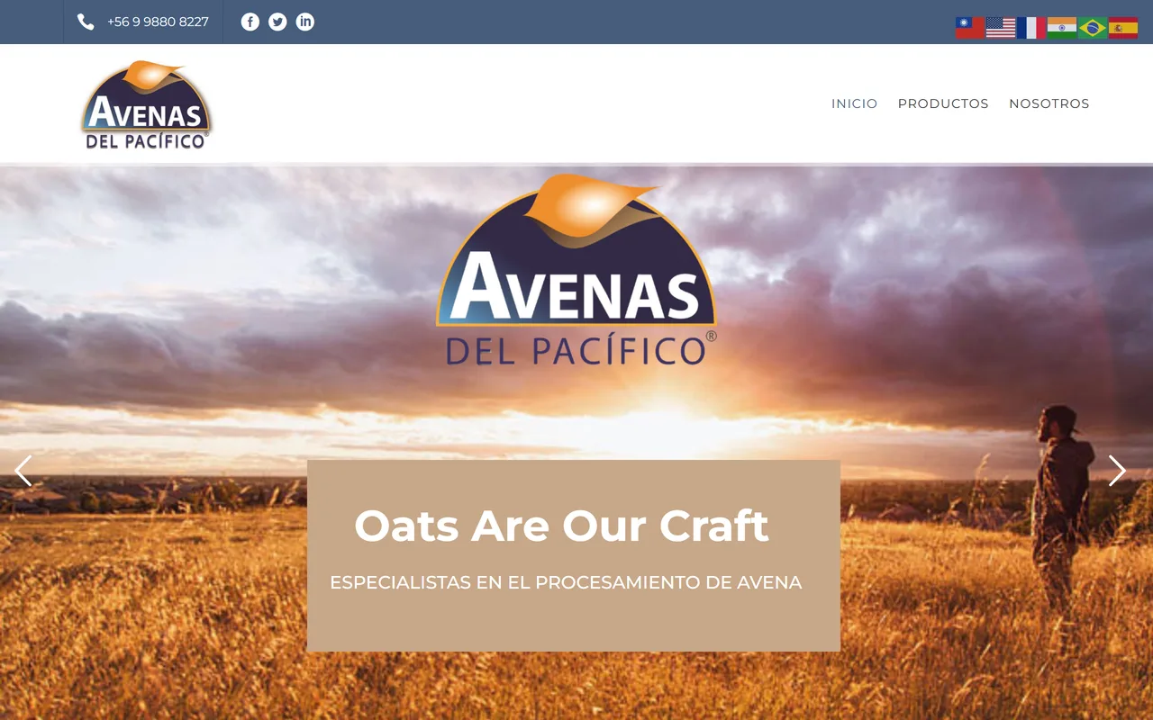 Portada de Avenas del Pacífico con campo de avena al atardecer