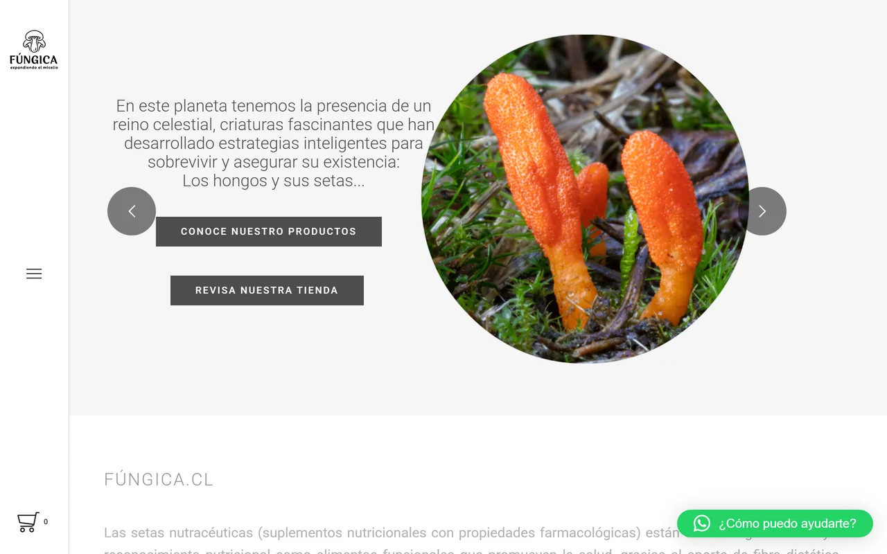 Portada de Fúngica con fotografía de hongos y accesos a la tienda